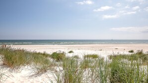 En strand med klitter og en klar himmel.