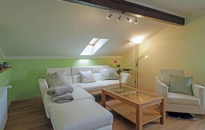Smart TV, fireplace, DVD player, stereo