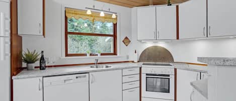 Fridge, oven, stovetop, dishwasher