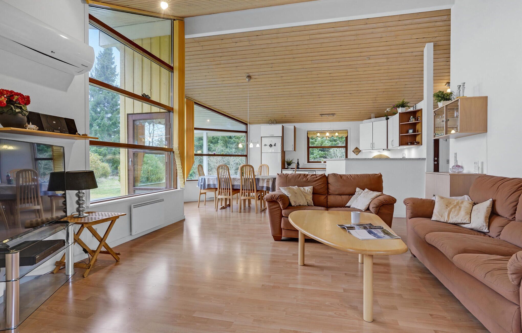 电视、DVD 播放器、立体声音响