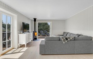 Fernseher, Kamin