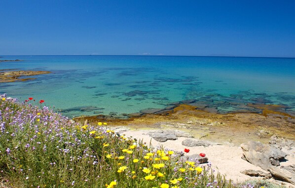 Beach nearby - 3 bedroom amazing apartment in Sorso (Sorso)