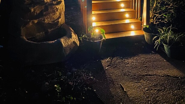 A wooden staircase with lights leading to a house. - Raleigh's famous mushroom house (Raleigh)