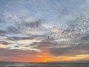 在海灘附近、躺椅、沙灘巾
