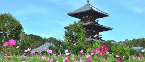 A traditional Japanese pagoda surrounded by a field of pink and white flowers.