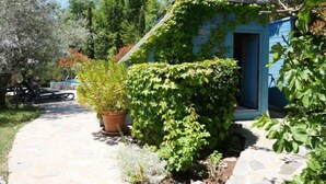 A stone-paved pathway leading to a blue house with ivy-covered walls. - Pergola by Interhome (Boccheggiano)