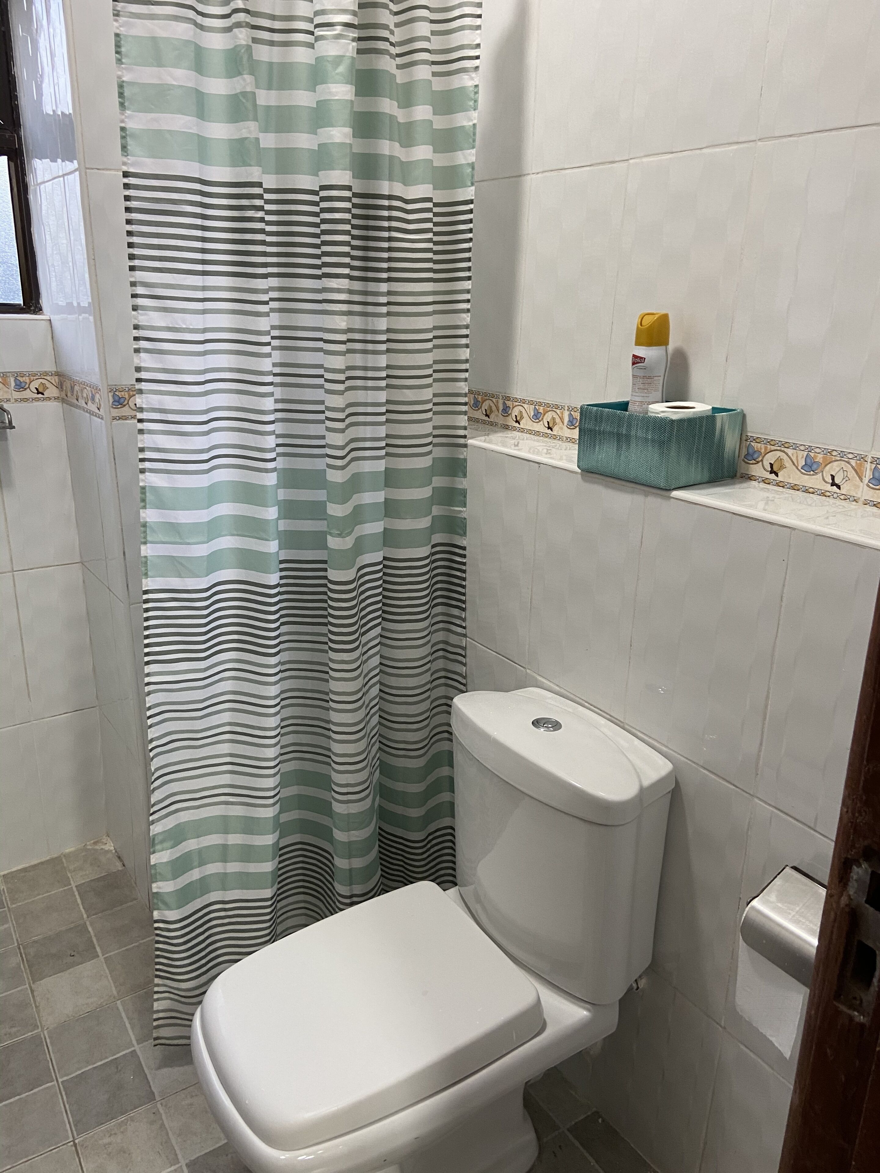 Une salle de bain avec un rideau de douche à rayures, des toilettes, une étagère avec des articles de toilette et des carreaux décoratifs.