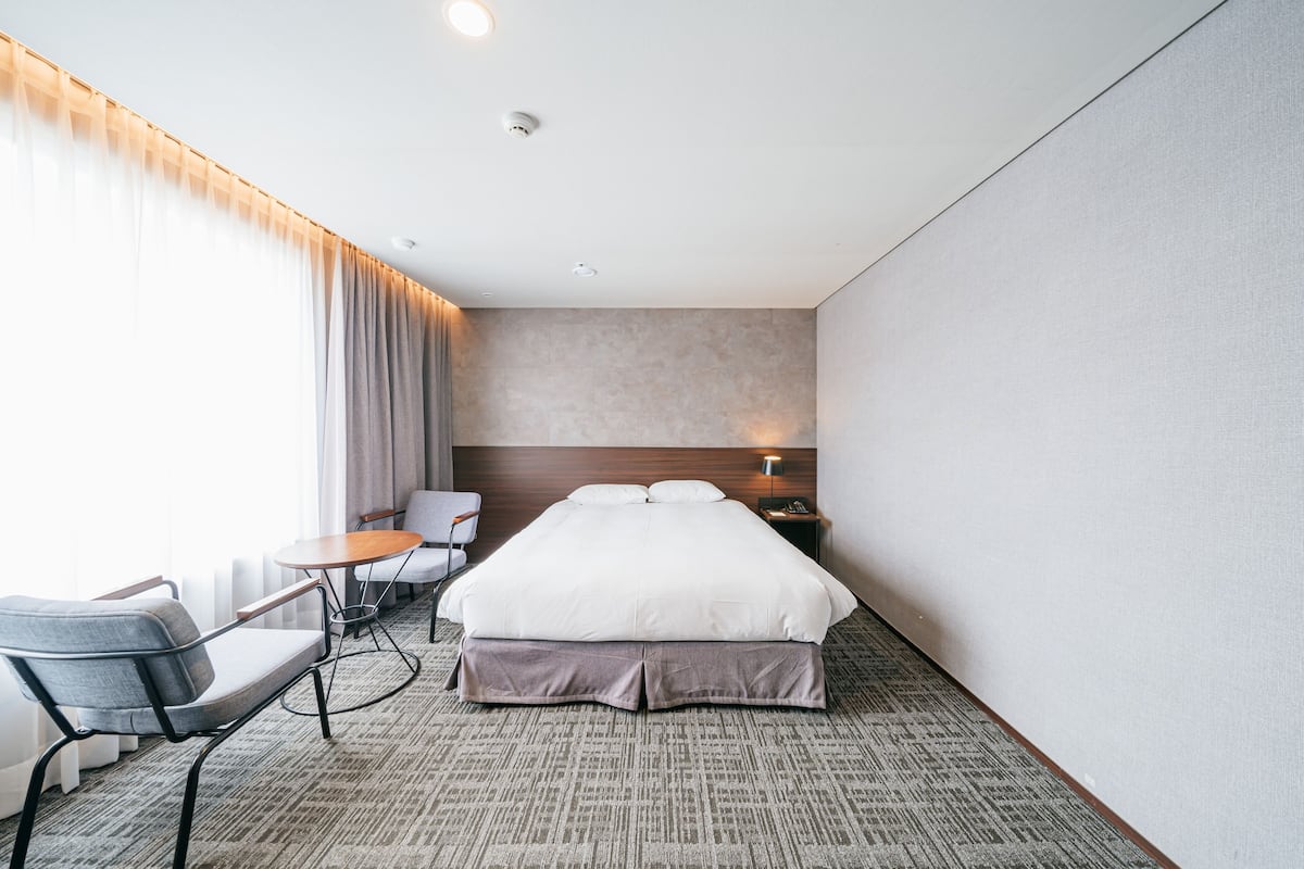 Habitación City doble (No View) | Decoración individual, mobiliario individual, wifi gratis y ropa de cama