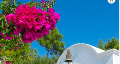 Room-rustic and Spacious Studio by the b