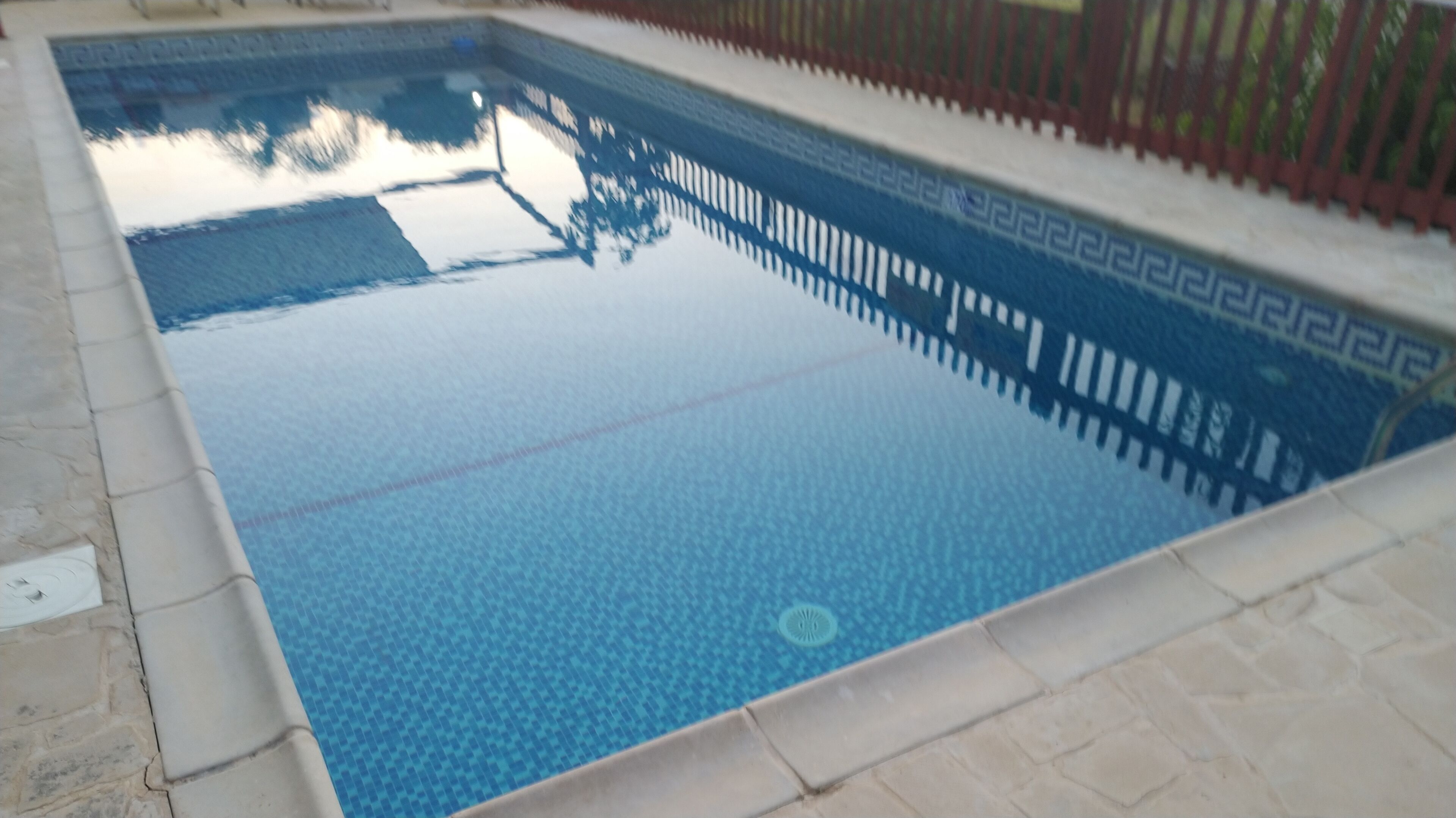 Una piscina rectangular con borde de azulejos y superficie de agua azul cristalina.