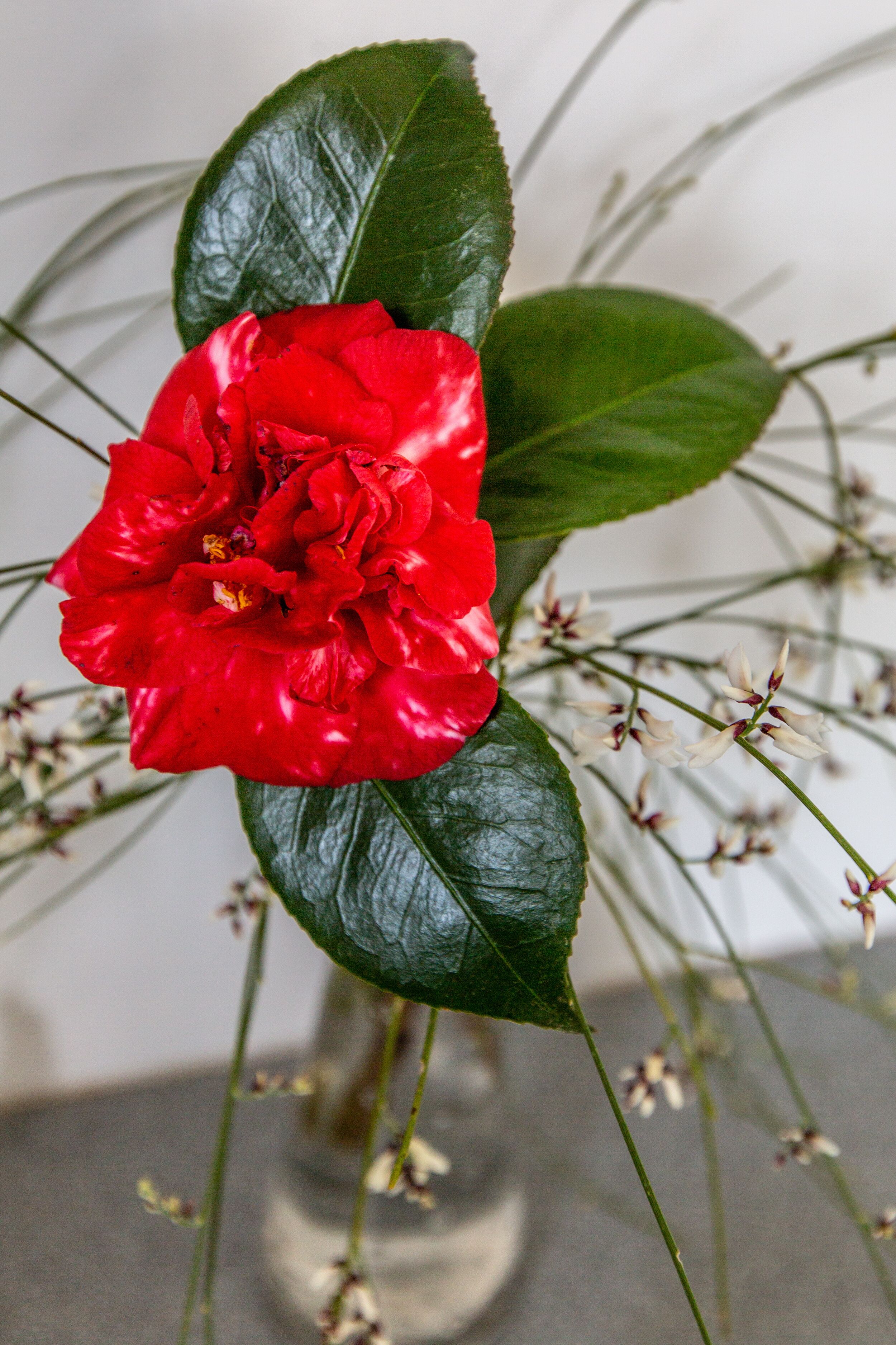 A private rural cottage close to beaches and Whitemark township — image 16