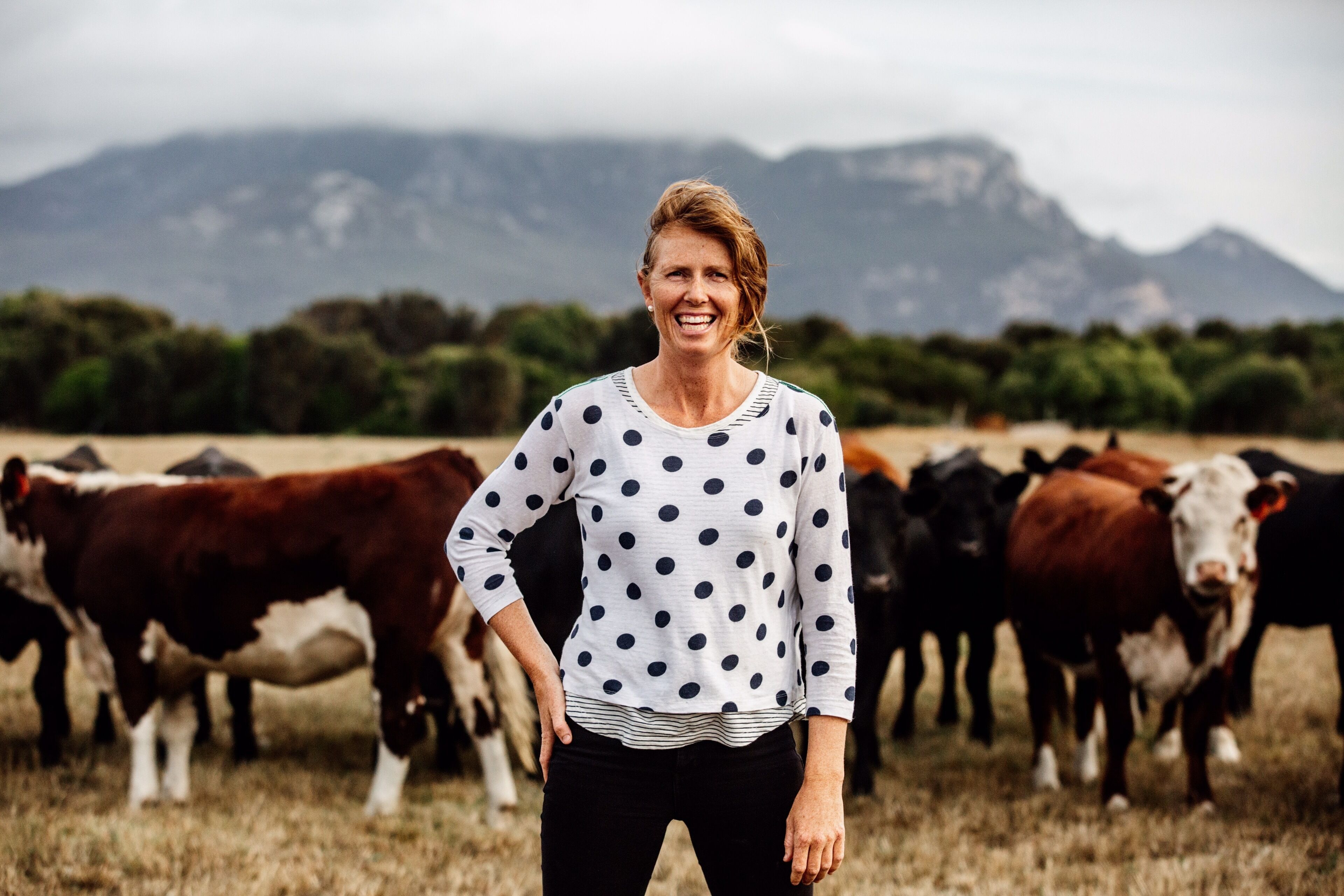 A private rural cottage close to beaches and Whitemark township — image 3