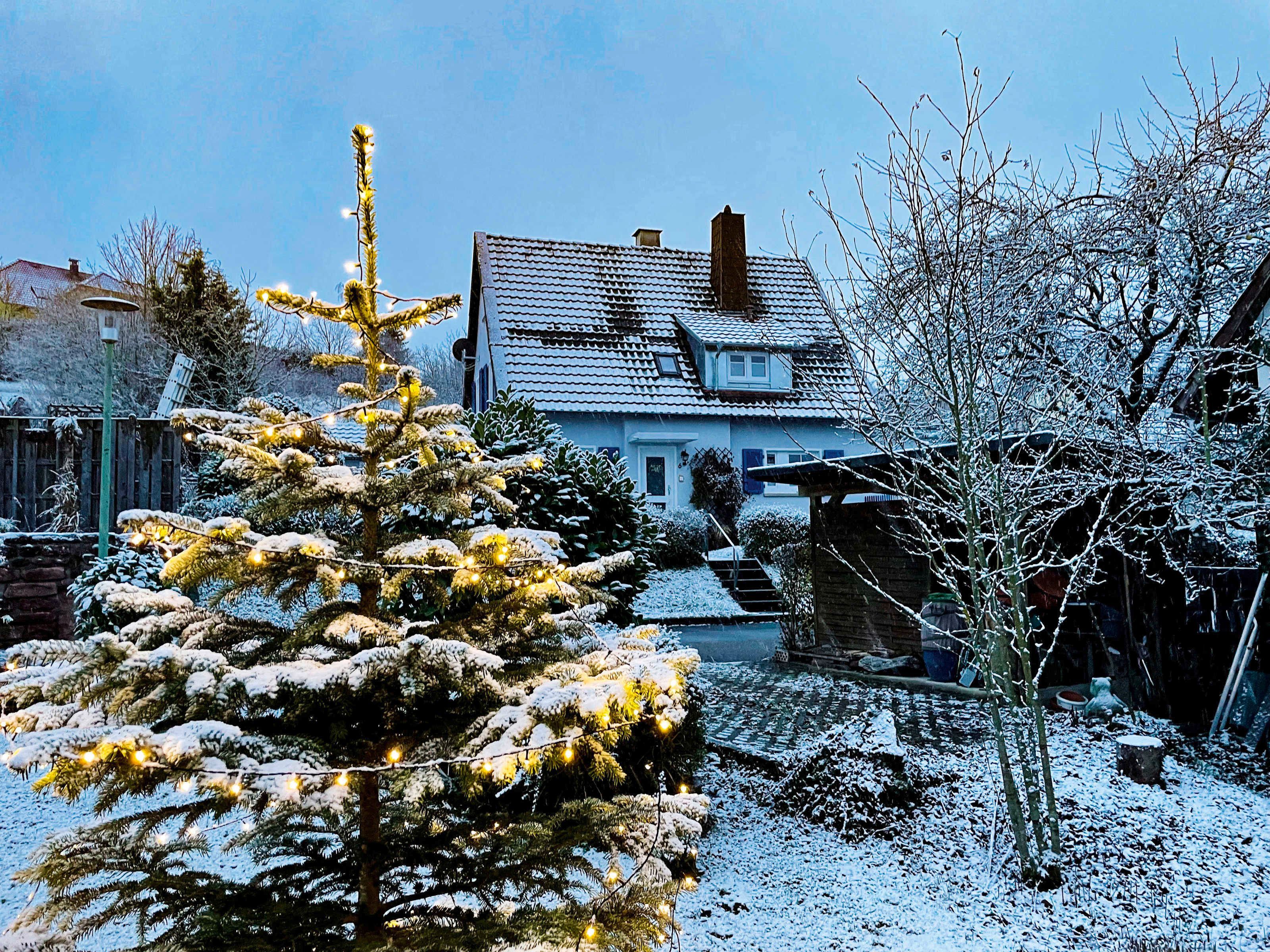 A snow-covered house with a visible chimney, a snow-covered tree in the foreground, and a clear sky.