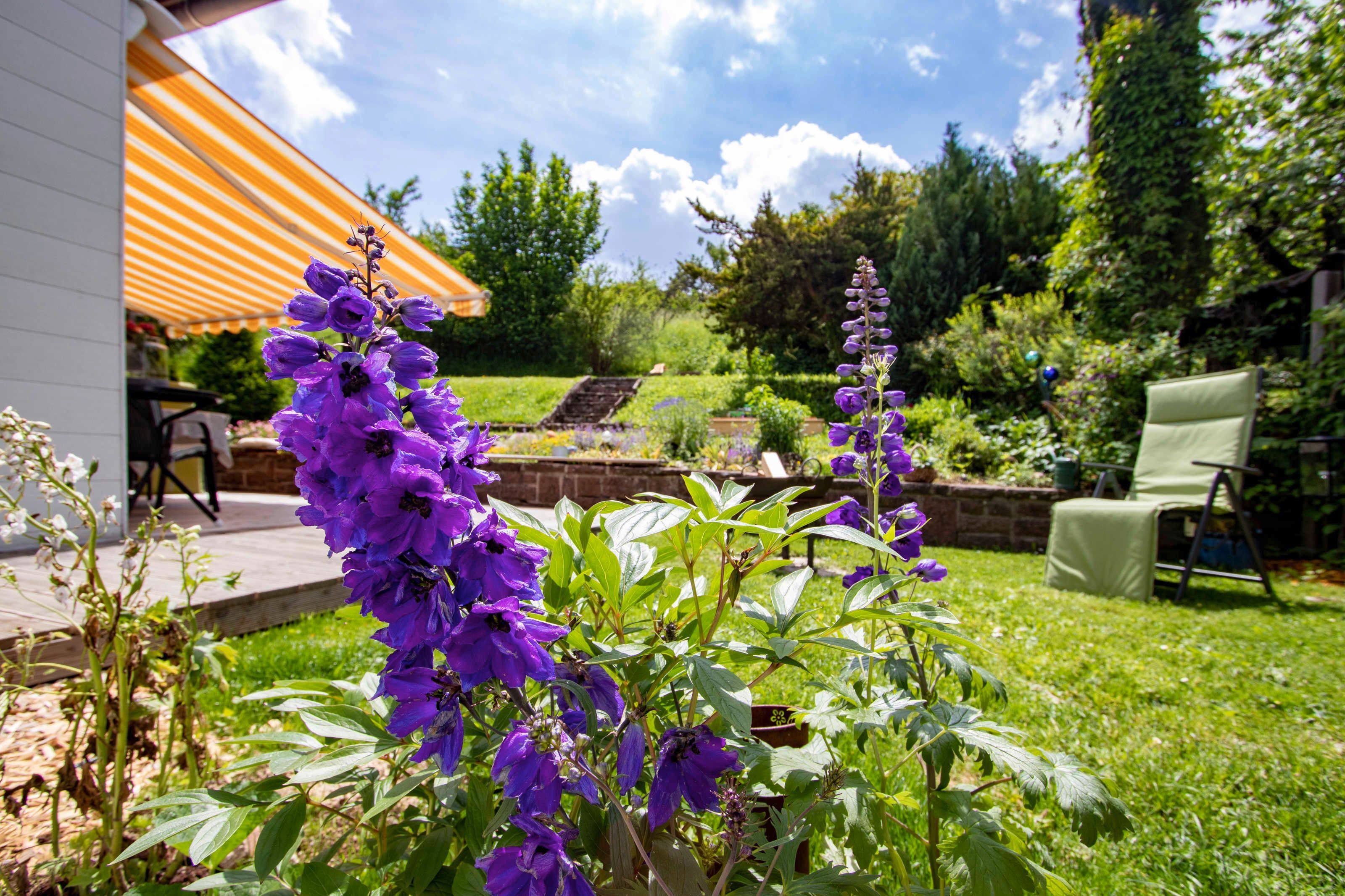 A garden with purple flowers, a patio with a striped awning, and a chair.