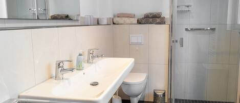 Shower, hair dryer, towels