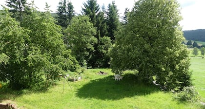 Fewo Im grünen Eck 1