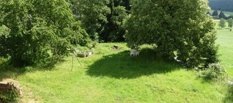 Apartment Im grünen Eck 1