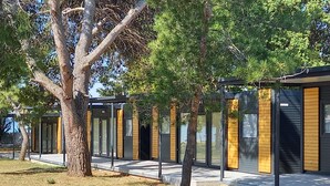 Una hilera de edificios modernos de una sola planta, con grandes ventanales y techo plano, rodeados de árboles.