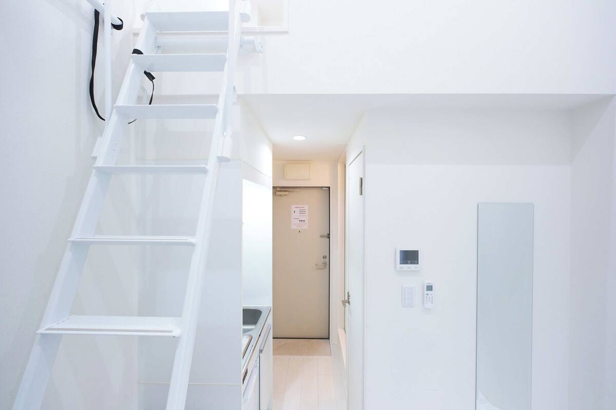 A narrow hallway with a white wall, a white door at the end, and a white ladder on the left.