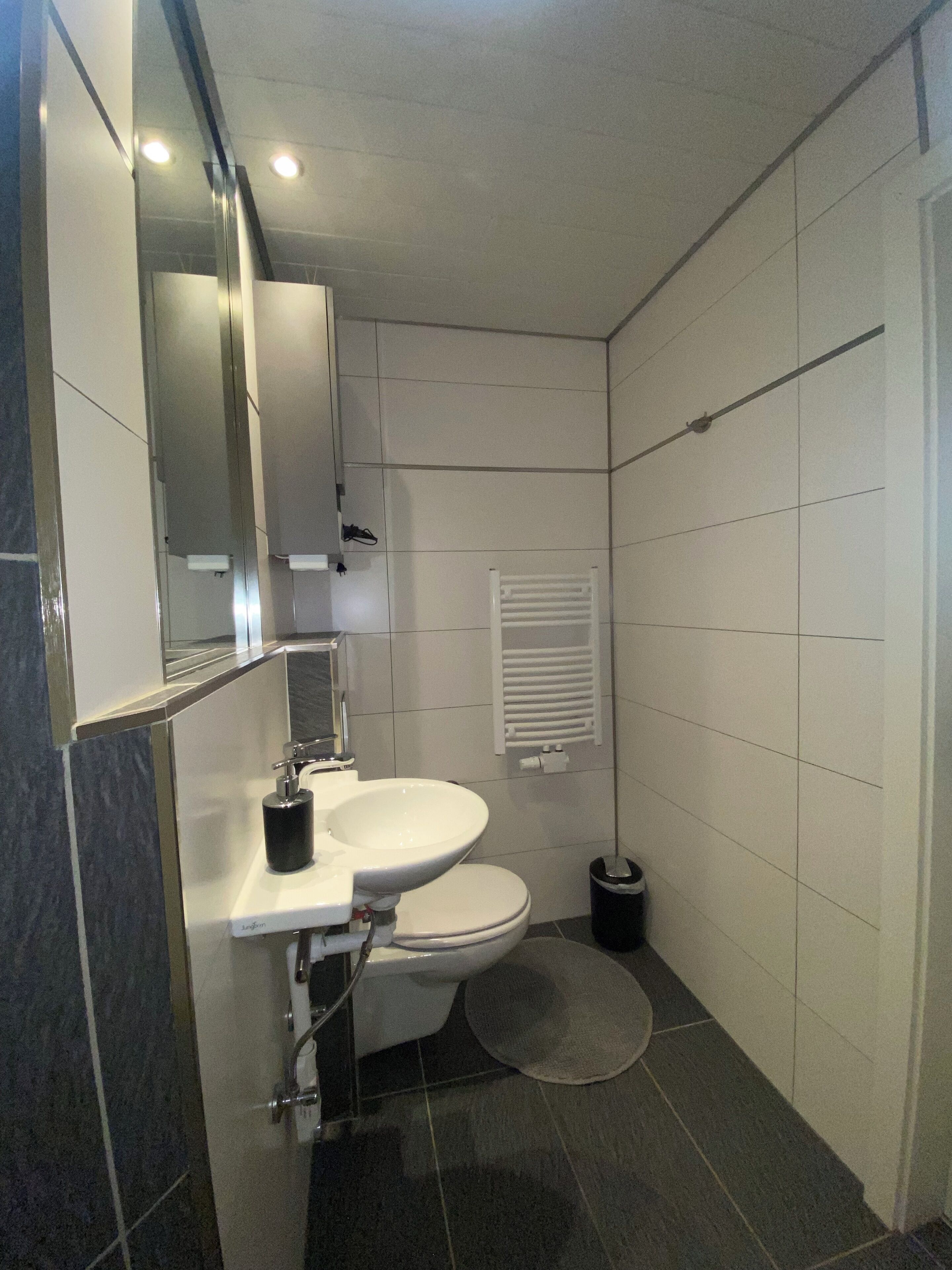 Et moderne badeværelse med en hvid vask, toilet og et spejl over vasken. Der er en håndklæderadiator på væggen og en lille skraldespand ved siden af toilettet.