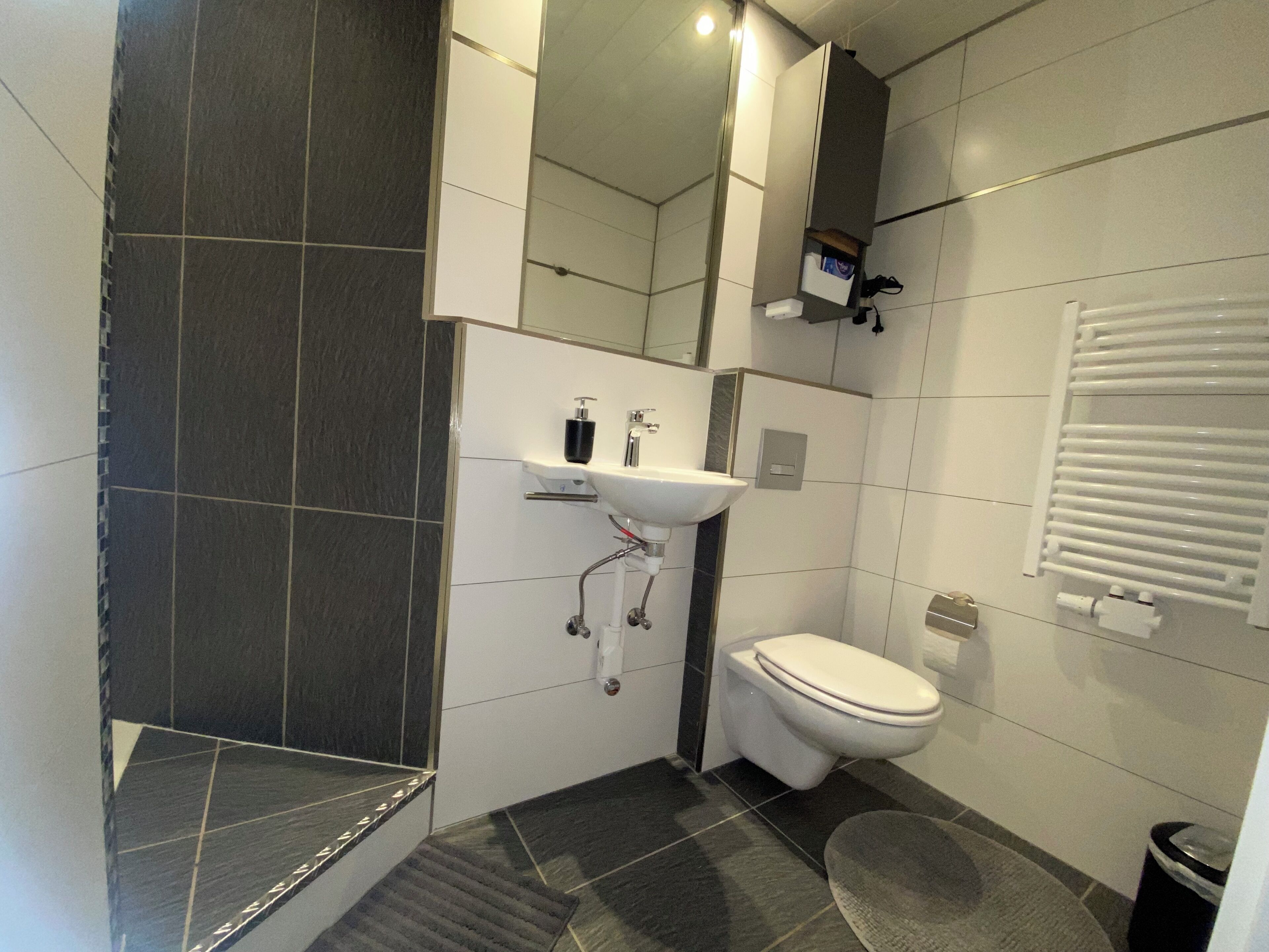 Een moderne badkamer met toilet, wastafel en douche.