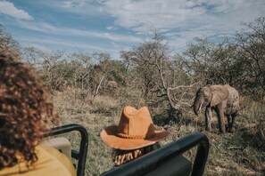 A safari scene with a person in a yellow shirt and a brown hat, and an elephant in a natural setting. - Waterbuck Lodge (Hoedspruit)