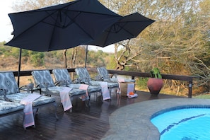 Pool - Waterbuck Lodge (Hoedspruit)