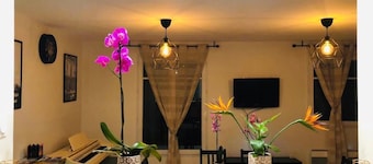 Charmante Maison de Ville