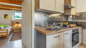 Fridge, oven, stovetop, dishwasher