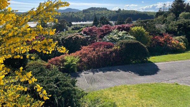 A landscaped garden with various flowering plants and a paved path. - Detached house with stunning garden in picturesque coastal village SW Scotland (Kippford)
