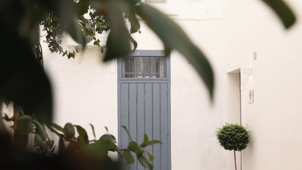 Un patio estrecho con una puerta gris, una planta en maceta y un pequeño árbol.