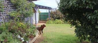 .Beach getaway, pet friendly, coastal vibe