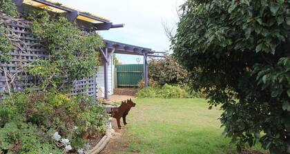 .Beach getaway, pet friendly, coastal vibe