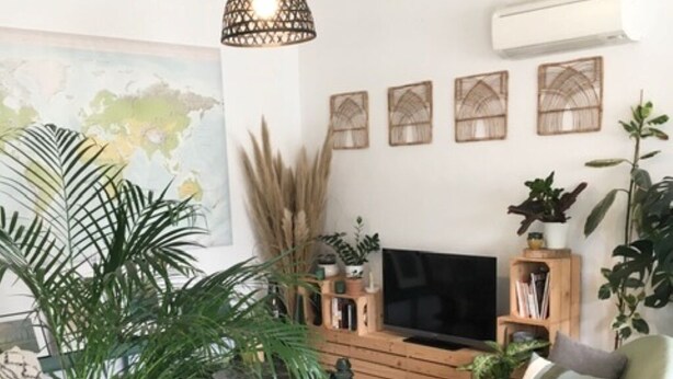 Ein Wohnzimmer mit Fernseher, grünem Sessel und Topfpflanzen.
