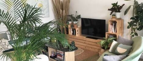 Televisor