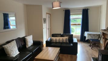 Smart TV, fireplace, printers