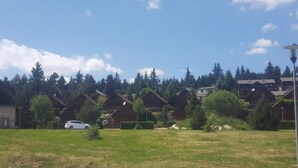 A row of wooden cabins with a grassy field in the foreground and a forest in the background.