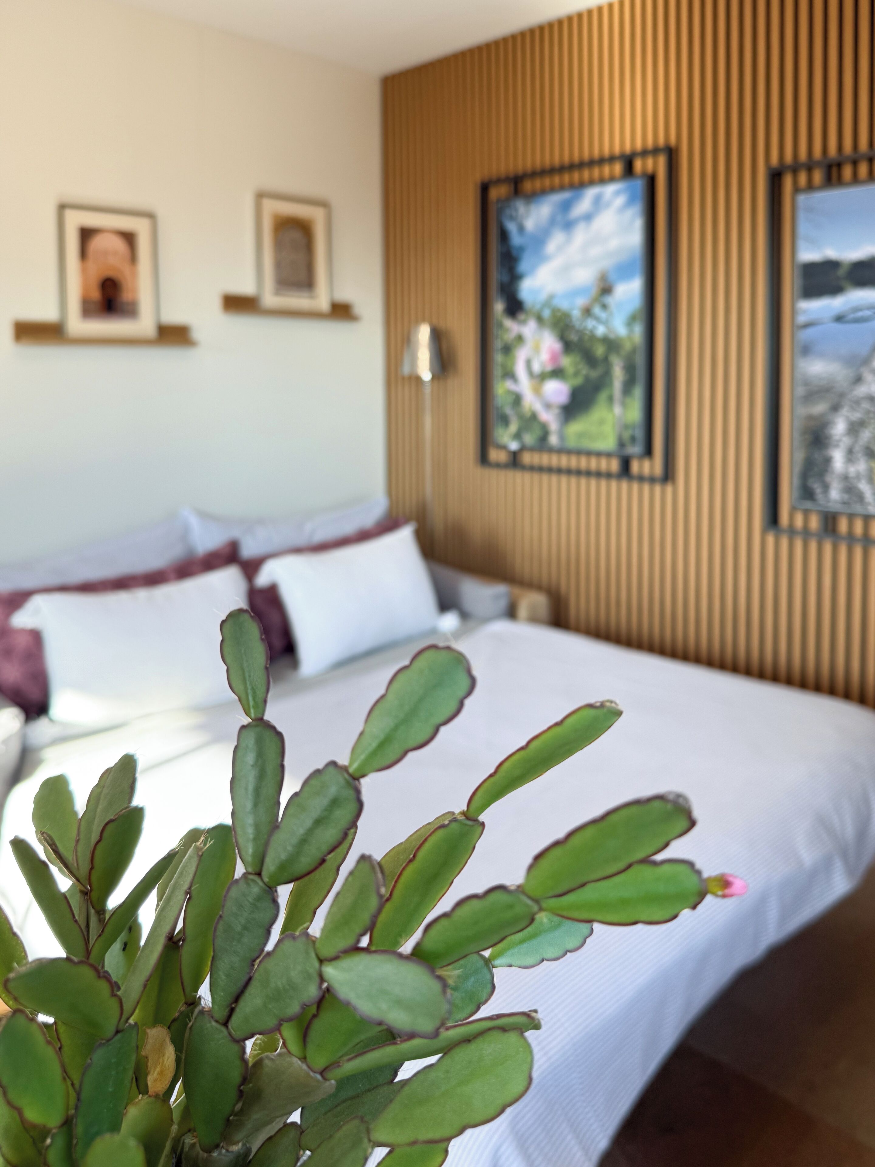 1 chambre, fer et planche à repasser, Wi-Fi gratuit, draps fournis