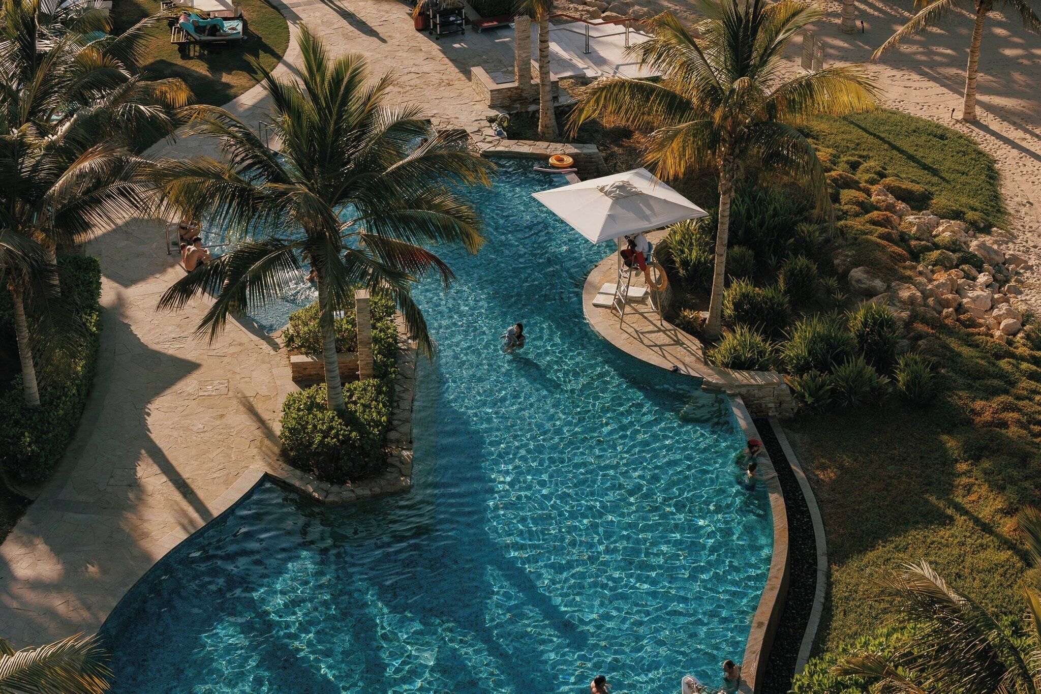 A swimming pool with palm trees, lounge chairs, and a stone pathway.