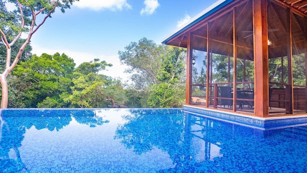 Piscina azul cristalina con cubierta de madera y cerramiento de vidrio, rodeada de exuberante vegetación.