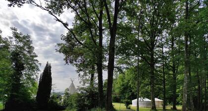 Une yourte avec vue sur le lac du Der