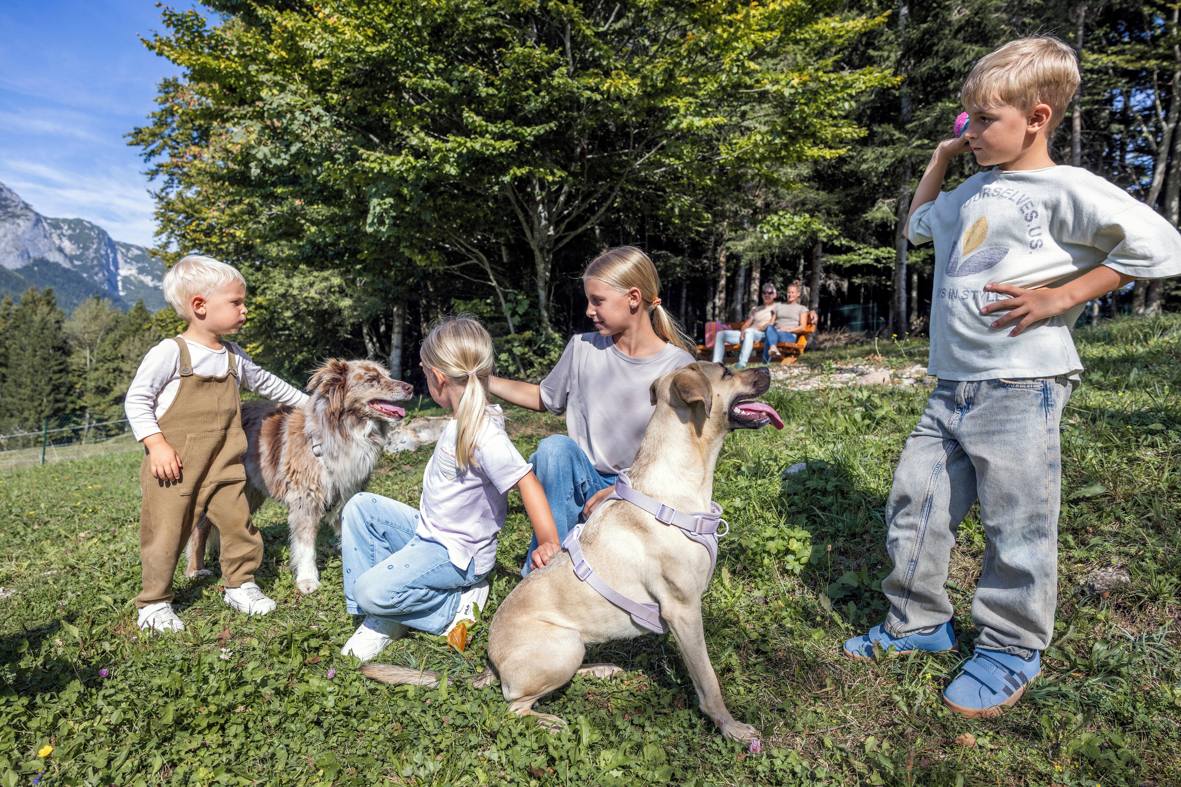 A group of people with a dog in a grassy outdoor setting with trees and mountains in the background.
