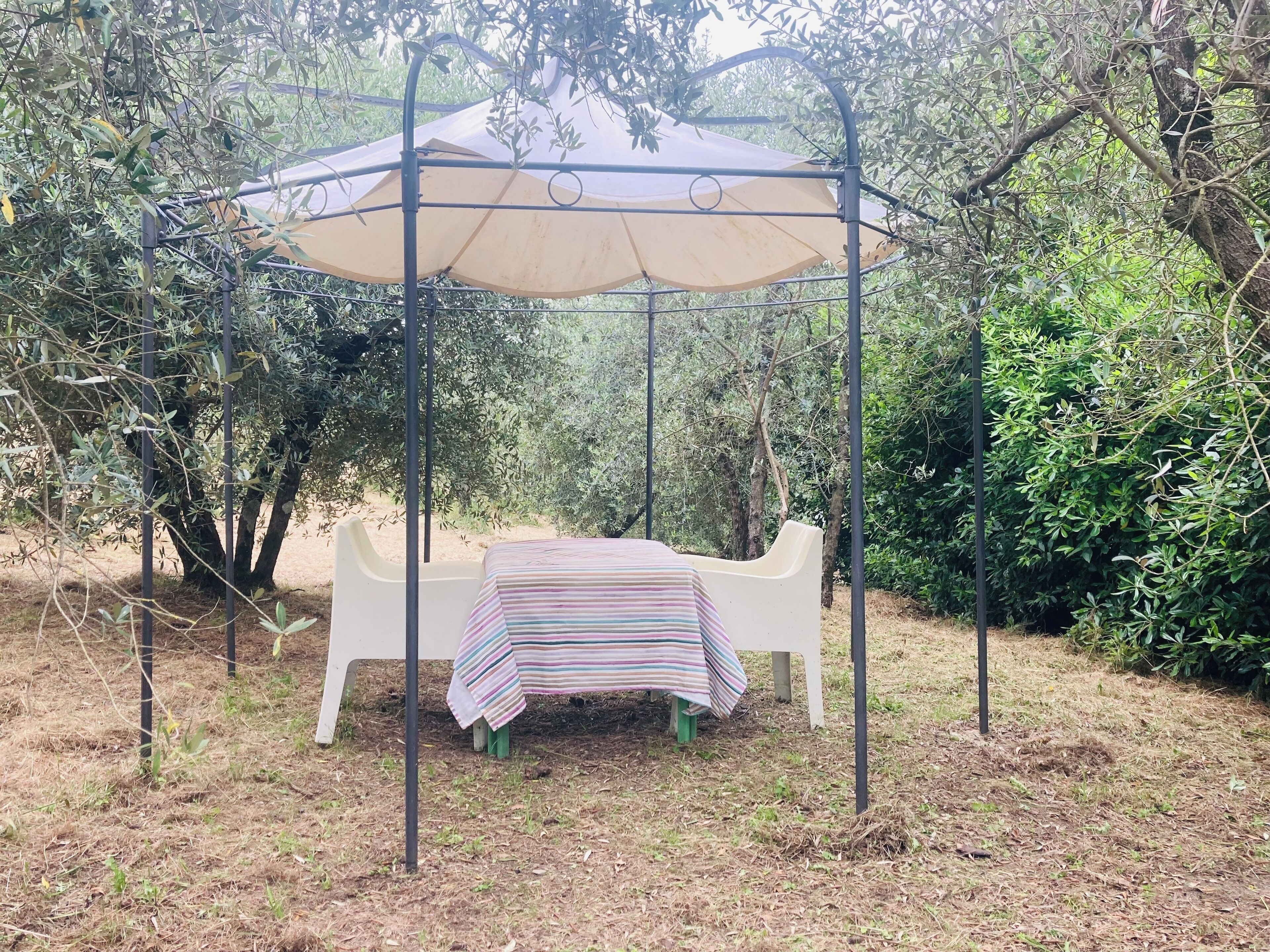 Parco della struttura