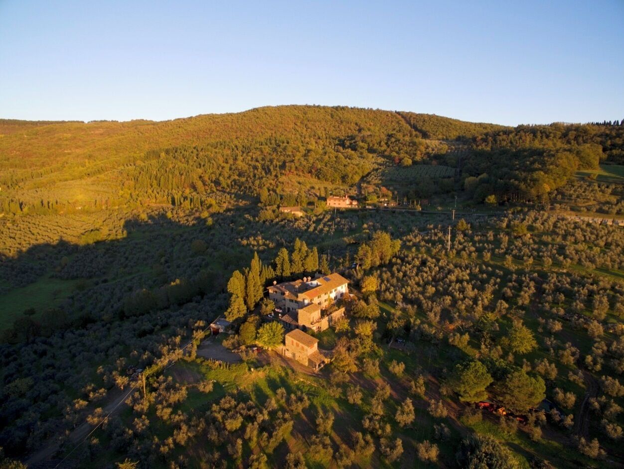 Vista aerea di una proprietà rurale con diversi edifici, immersa in una vegetazione rigogliosa e colline.
