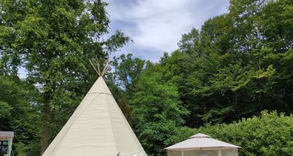 Tipi Dans la Clairière au Bord du Lac Du Der