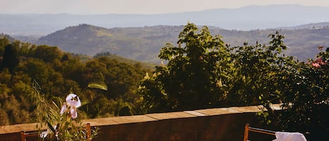 Ein Tisch reichhaltig gedeckt mit Speisen und Getränken, mit Blick auf eine malerische Landschaft.