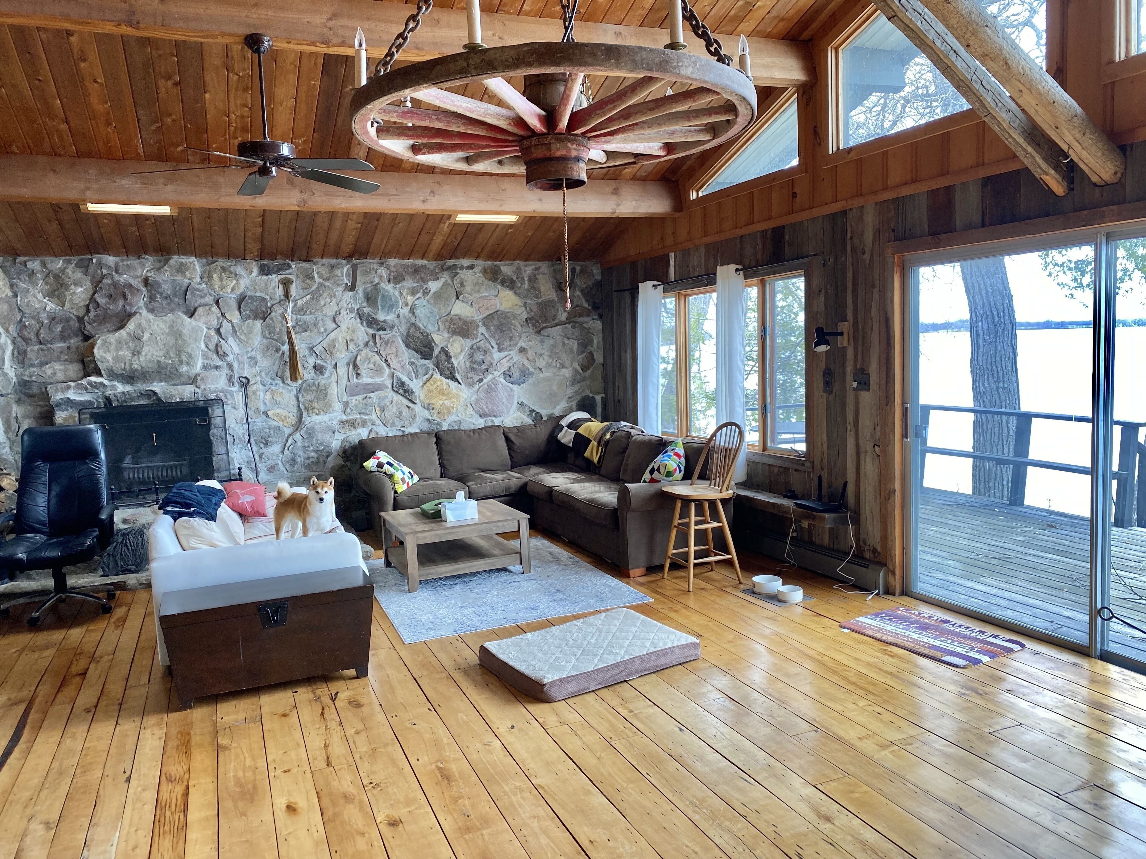 Smart TV, fireplace, books, printers