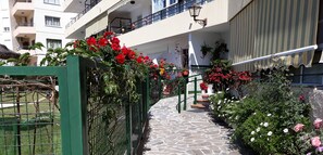 A stone pathway leading to a building with a green fence and potted plants.