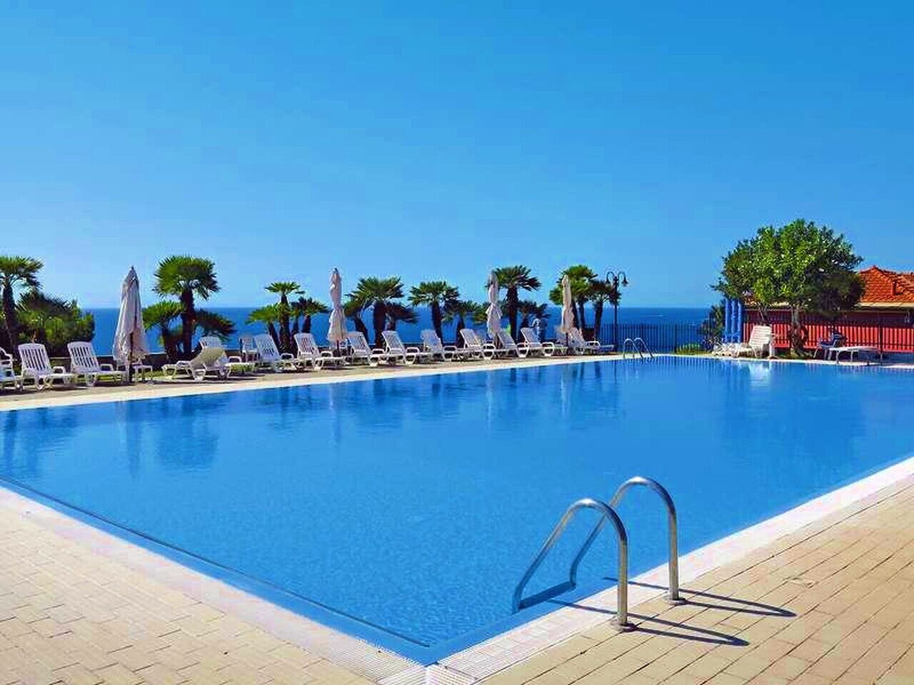 Une piscine entourée de palmiers, avec des chaises longues et des parasols, sous un ciel bleu azur.
