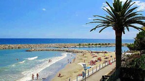 Een strand met een rotsachtige kustlijn, een palmboom en mensen die van het water genieten.